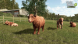 Игра Farming Simulator 25. Highlands Fishing Edition [PS5, русские субтитры] в Волгограде