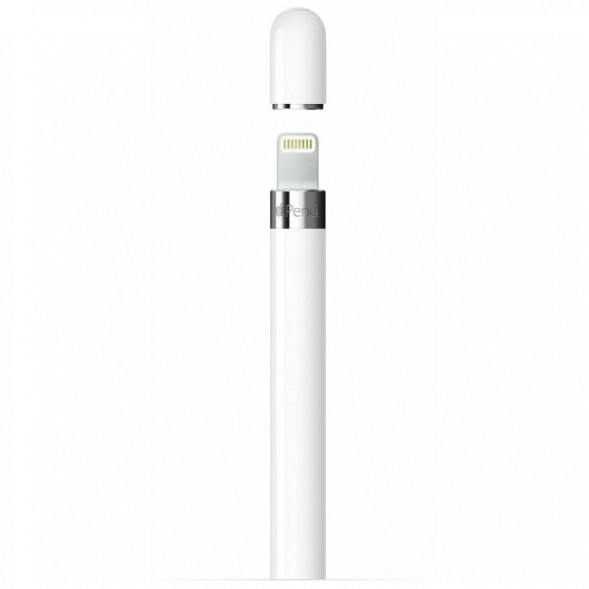 Стилус Apple Pencil (1-го поколения) с USB-C to Apple Pencil адаптером (MQLY3) в Волгограде