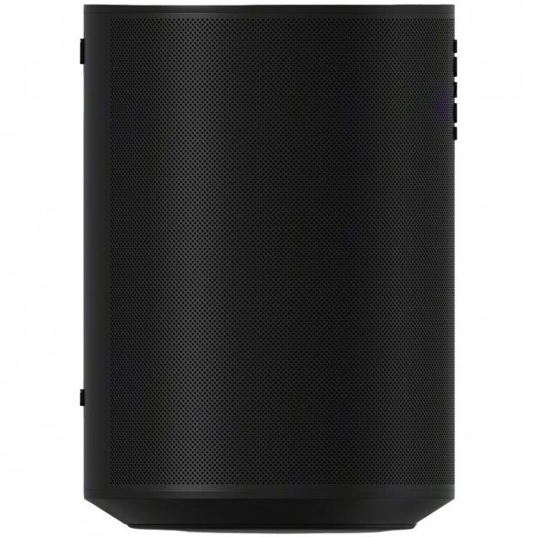 Умная колонка Sonos Era 100, черный в Волгограде