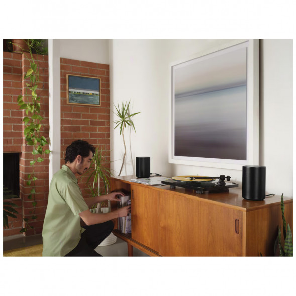 Умная колонка Sonos Era 100, черный в Волгограде