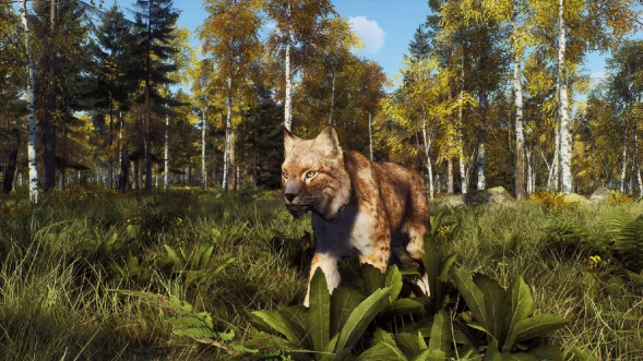 Игра Way of the Hunter: Wild Expeditions [PS5, русские субтитры] в Волгограде