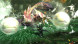 Игра Monster Hunter Generations Ultimate [Nintendo Switch, английская версия] в Волгограде