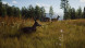 Игра Way of the Hunter [PS5, русские субтитры] в Волгограде