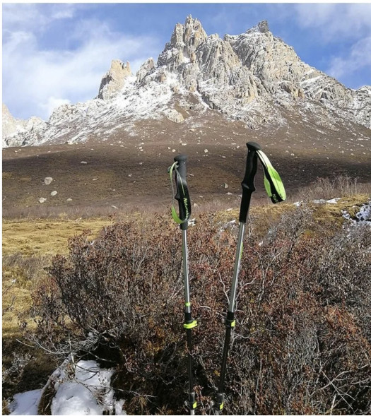 Треккинговая палка Naturehike 135 см, 1 шт., белый/красный в Волгограде