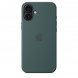 Чехол Apple для iPhone 16 Plus Silicone MagSafe,  Lake Green (MYYH3ZM/A) в Волгограде