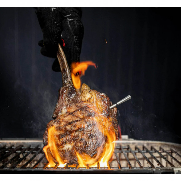 Термометр щуп для мяса MEATER 2 Plus (MT-MP201) в Волгограде