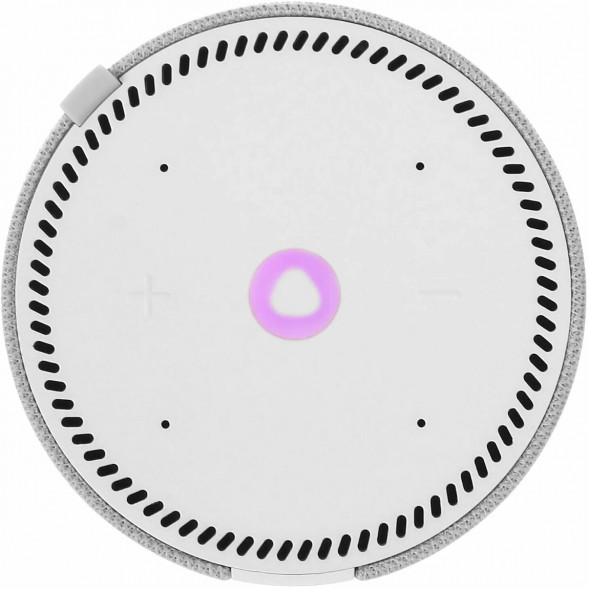 Умная колонка Яндекс Станция Мини (без часов), cерый опал в Волгограде