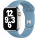Ремешок для Apple Watch 40mm Northern Blue Sport Band (MYD02ZM/A), скандинавский синий в Волгограде