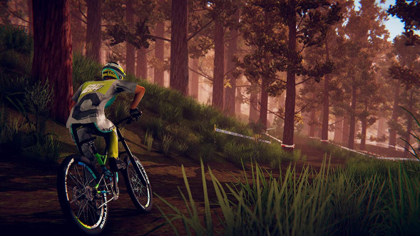 Игра Descenders [Nintendo Switch, английская версия] в Волгограде