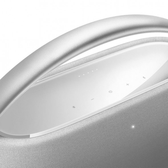 Портативная акустика Harman/Kardon Go + Play 3, серый в Волгограде