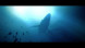 Игра Under The Waves [PS4, русские субтитры] в Волгограде